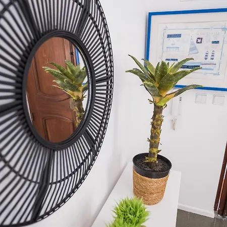 Apartamento Casa Vó Minda - - Local Nazaré